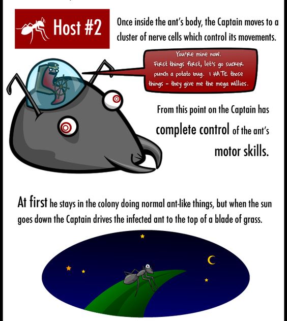 From the Oatmeal comic about the flatworm "zombie" parasite Captain Higgins.